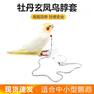 鹦鹉脖套不锈钢玄凤虎皮牡丹蜡嘴伯劳八哥中小型锁链训练鸟脖套绳