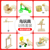 鹦鹉益智玩具训练玄凤牡丹自行车鸟食罐投篮球垃圾桶套圈鸟用品