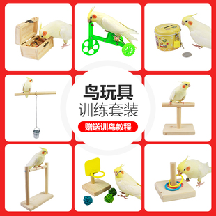 鹦鹉益智玩具训练玄凤牡丹自行车鸟食罐投篮球垃圾桶套圈鸟用品