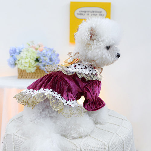 PETCIRCLE宠物圈春秋宠物服装小型犬幼犬猫猫衣服邓波儿礼服裙