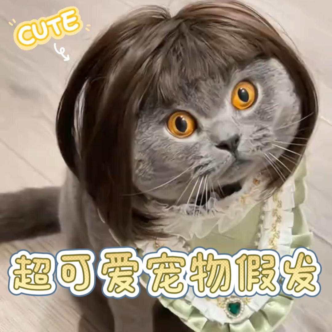 网红宠物猫咪假发齐刘海搞怪装扮