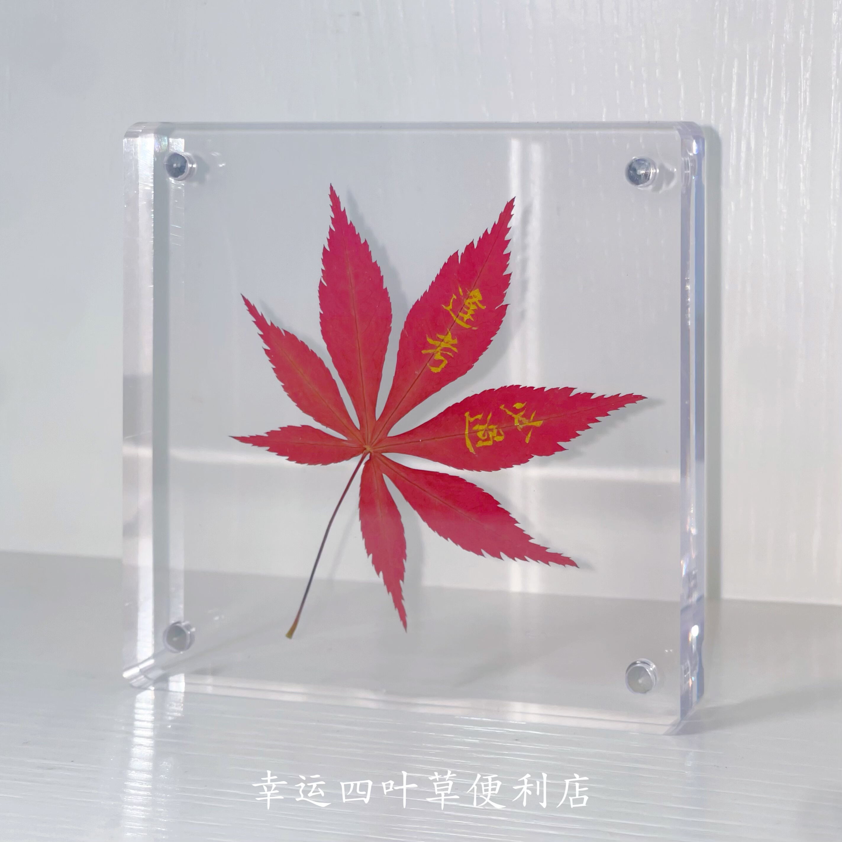 幸运四叶草便利店枫叶标本亚克力相框装饰创意教师节礼物桌面摆件