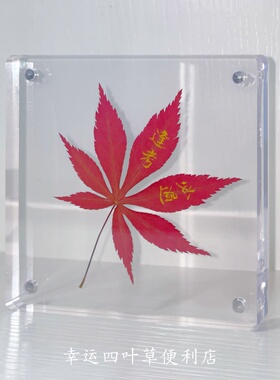 幸运四叶草便利店枫叶标本亚克力相框装饰创意教师节礼物桌面摆件
