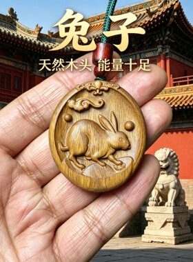 枣木十二生肖兔随形护身求学项链