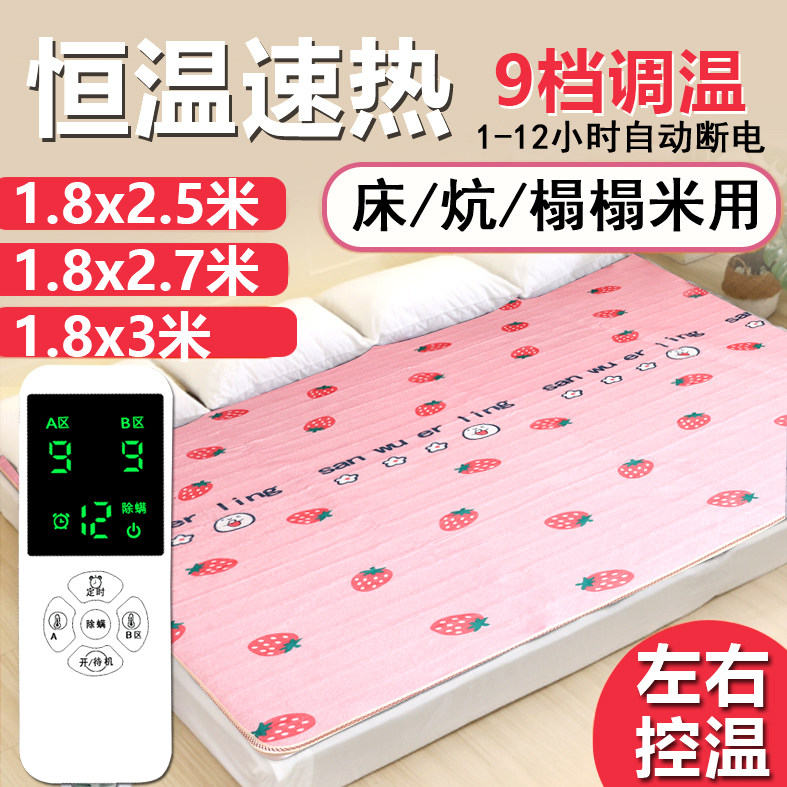 电热毯双人双控调温榻榻米家用三人四人加大2.5米3农村炕用电褥子