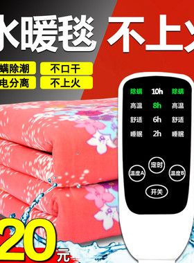 水暖电热毯单人水循环安全辐射无家用双人水热毯炕恒温电热毯三人