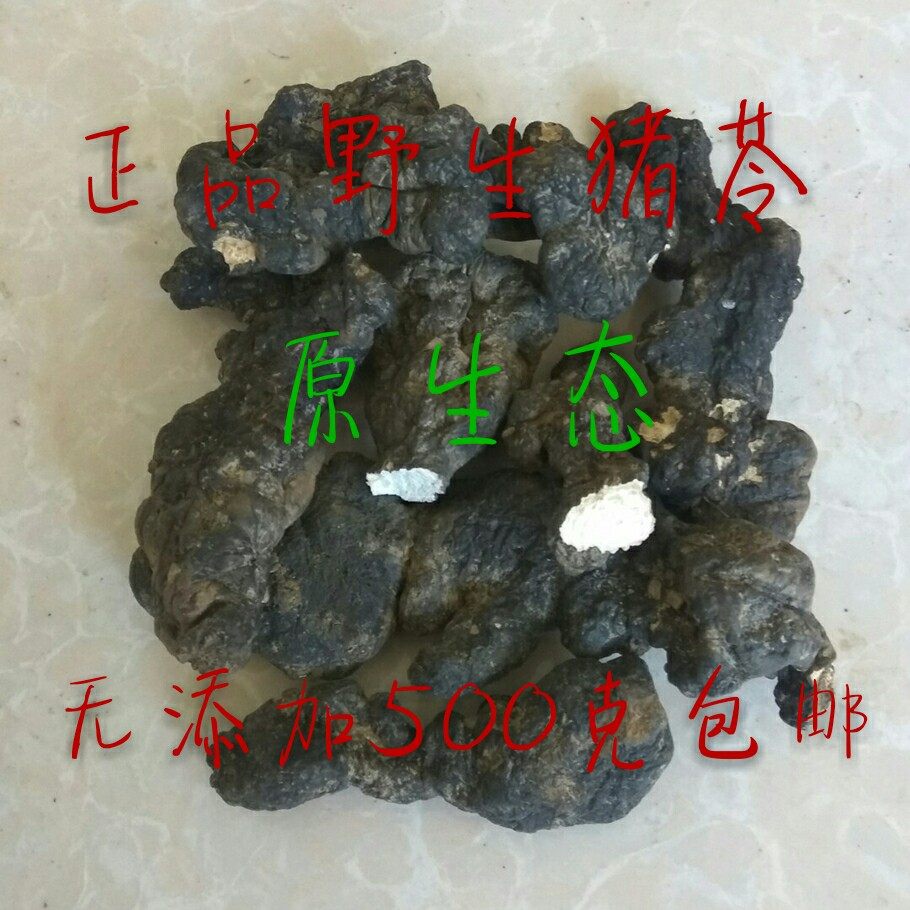 野生猪苓 原生态产地无硫猪屎苓 猪苓个 中药材正品猪苓500克
