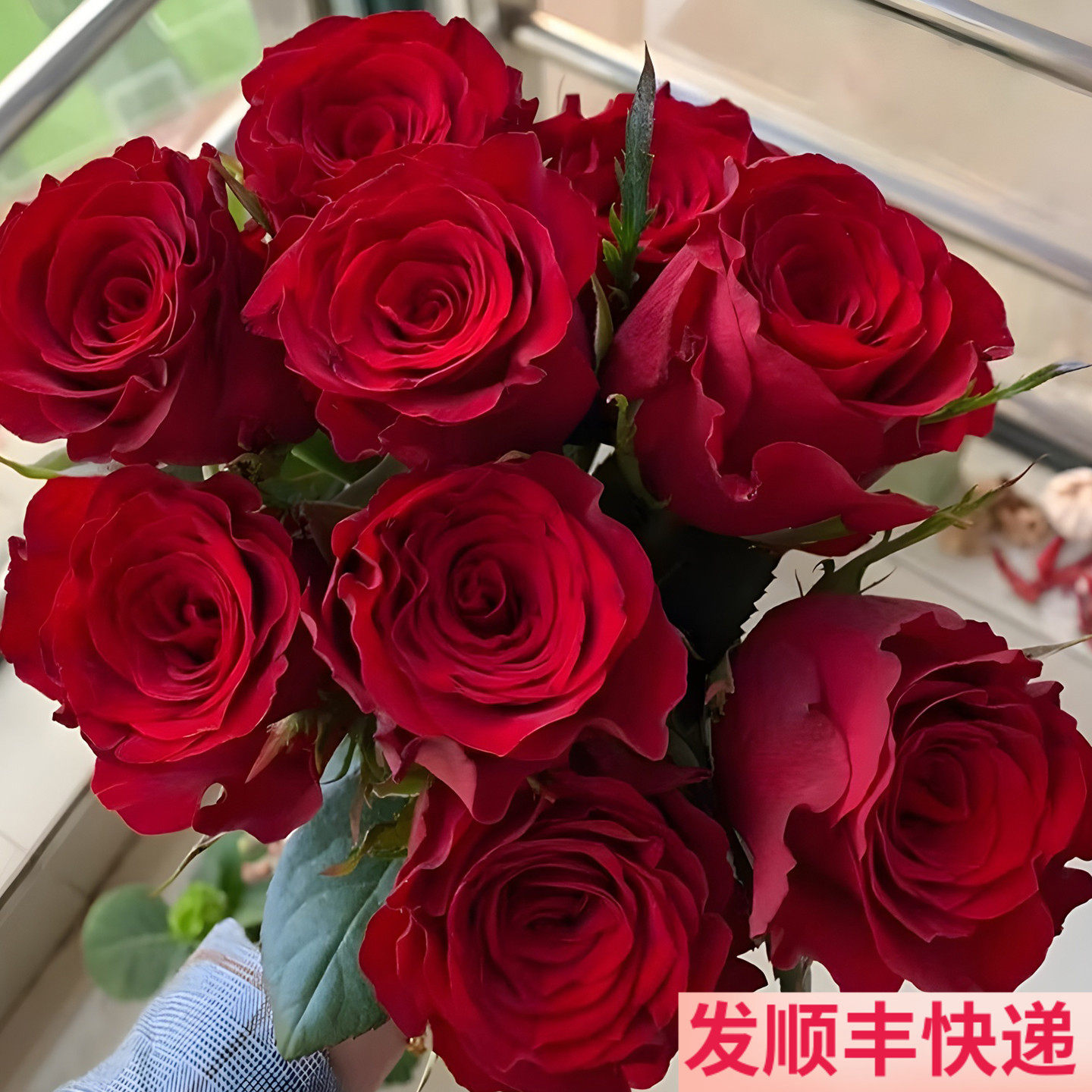 红玫瑰鲜花高原红斗南基地直发花