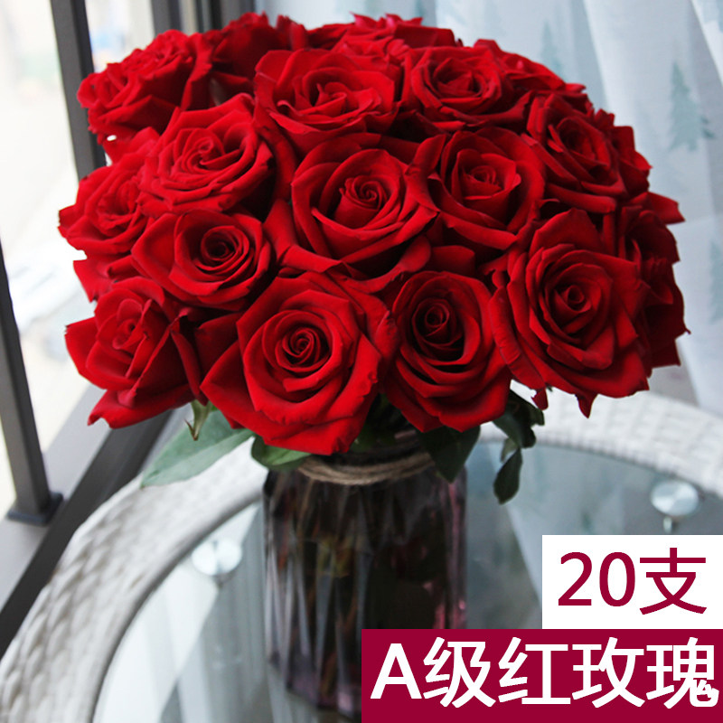 a级红玫瑰卡罗拉云南昆明斗南鲜花基地直发直批家用真花水养花束