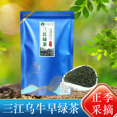 三江绿茶2024新茶明前乌牛早毛尖绿茶广西柳州高山茶叶侗乡绿茶