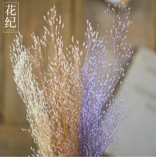 花纪永生花diy浅粉浅蓝色新娘头饰进口大地梦幻喷泉草小份装