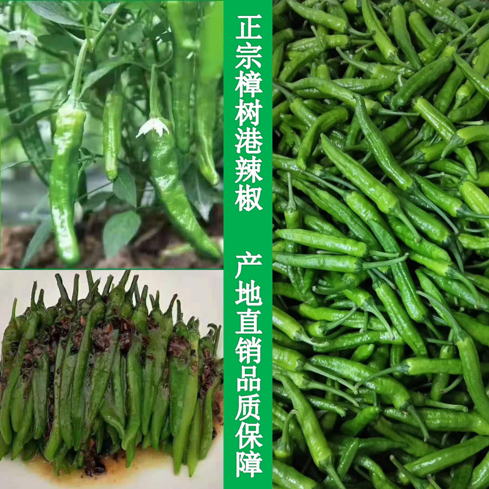 湖南樟树港辣椒农家自种现摘现发