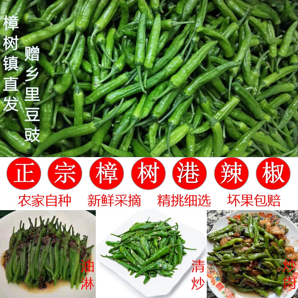 【顺丰航空高铁特快】正宗樟树港辣椒原产地直发新鲜采摘美味下饭