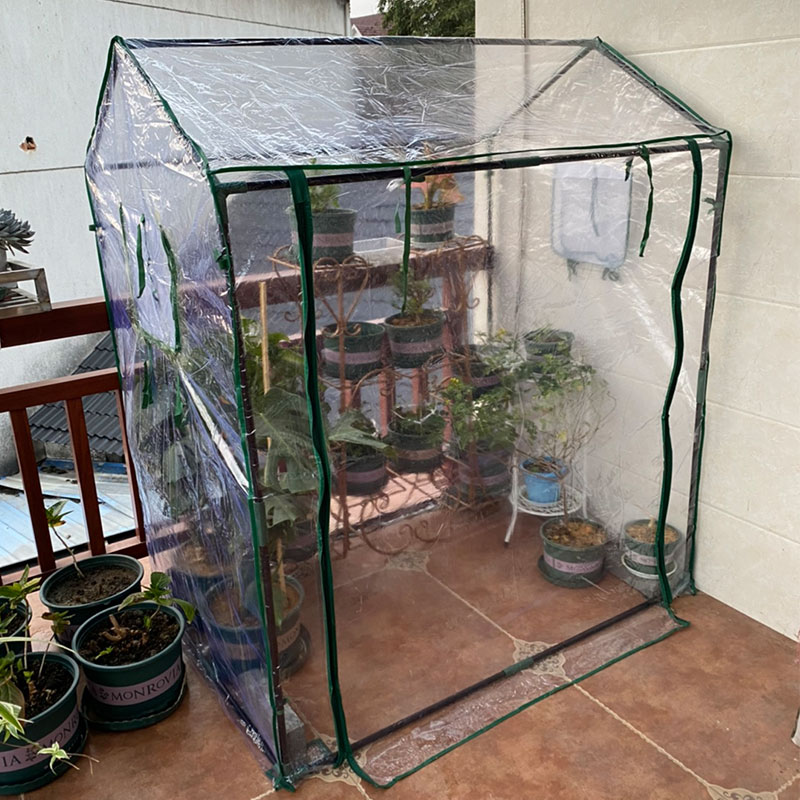 植物温室花房防风户外家用冬季