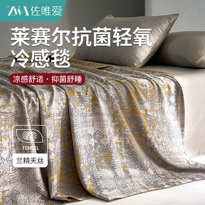 莱赛尔天丝薄款凉感夏凉被毛毯