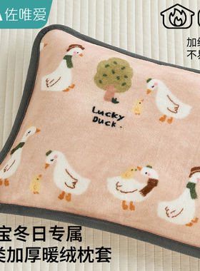 牛奶珊瑚绒儿童枕头套装一对含枕芯40x60cm卡通a类婴儿宝宝小枕套