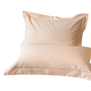 纯棉枕头套一对家用全棉磨毛枕套成人粉色枕罩纯色枕皮加厚整头冬