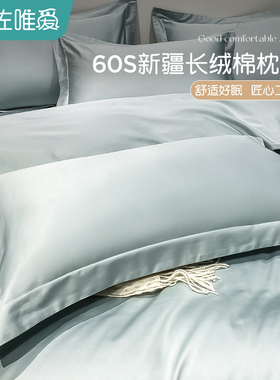 全棉枕套一对装高级感枕头套2025新款纯棉套装48cmx74cm儿童40x60