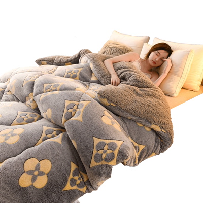 羽丝冬被加厚保暖四季通用