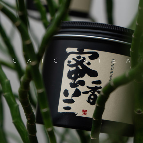 潮州凤凰单丛鸭屎香蜜兰香春茶