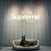 全皮小王子星宠物猫狗沙发床狗窝木质可拆洗大中小型四季 防水金毛