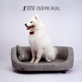 小王子星中号M纳米科技布物沙发防水不粘毛耐清理柔软