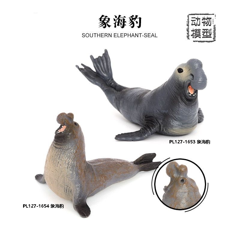 1653/1654仿真海洋动物模型海象海豹象海豹儿童认知玩具实心摆件