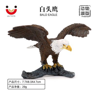 飞禽模型白头海雕美洲雕白头鹰