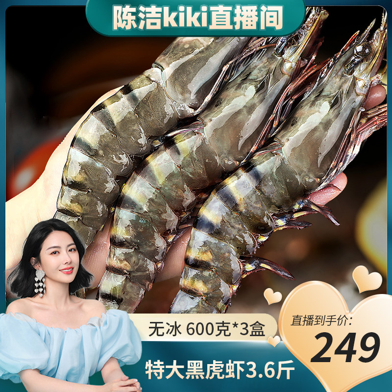 【k姐推荐】北海湾3.6斤特大黑虎虾老虎虾Q弹单只冻无冰净重