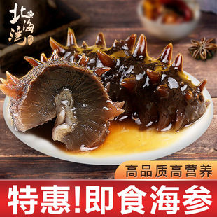 北海湾9年即食海参深海海参野生海参大连瓦房店500g鲜活刺参P