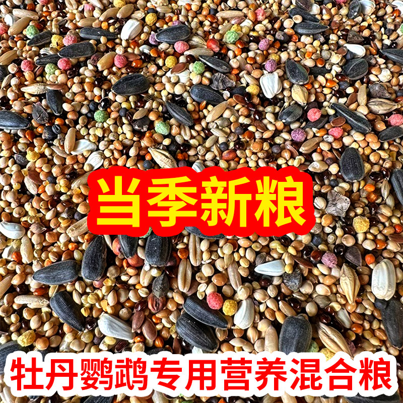 鹦鹉鸟食鸟粮饲料玄凤虎皮牡丹中小型带壳五色黍子专用混合粮黄谷