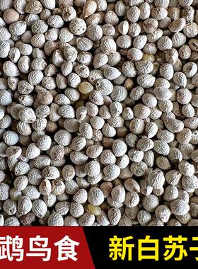 新白苏子鸟食鸟粮小颗粒软壳苏籽虎皮鹦鹉玉鸟芙蓉鸟金丝雀软苏子