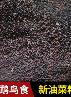 优质大颗粒油菜籽种子虎皮牡丹鹦鹉芙蓉鸟玉鸟五斤包邮粮食饲料鸽