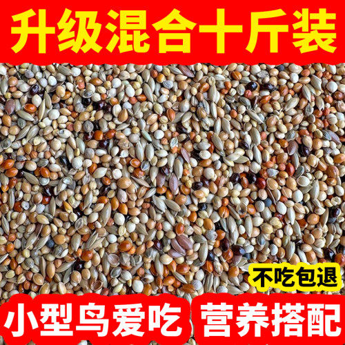 七彩文鸟芙蓉鸟金丝雀鸟珍珠鸟