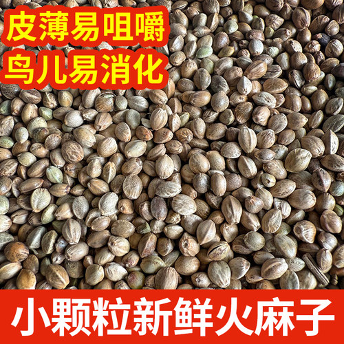 纸壳火麻子麻籽鹦鹉鸟粮饲料