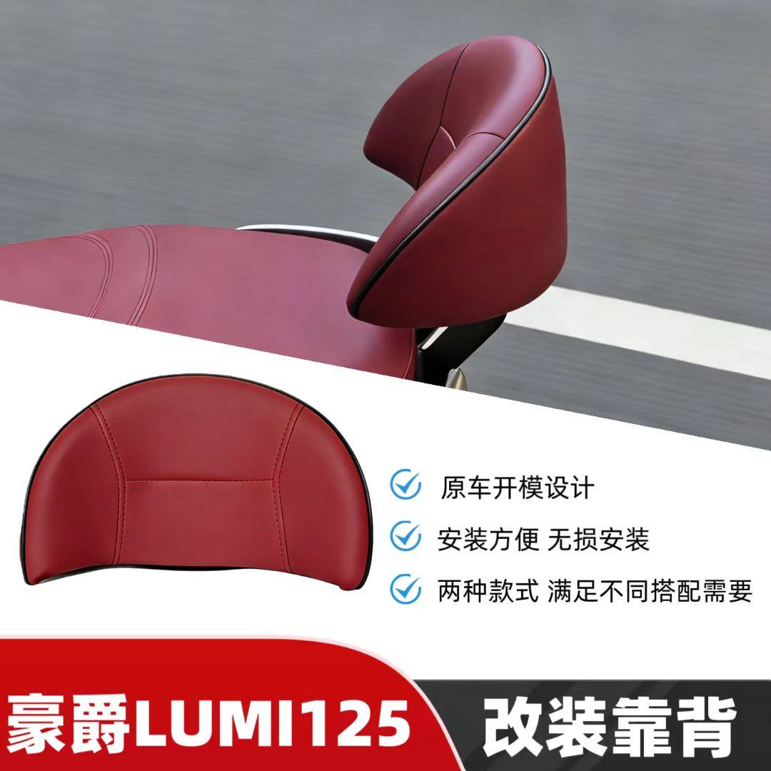 天飞仕适用于豪爵LUMI125改装靠背摩托车尾翼座椅后靠背腰靠配件