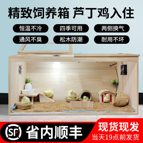 芦丁鸡宠物箱恒温控制育雏保暖