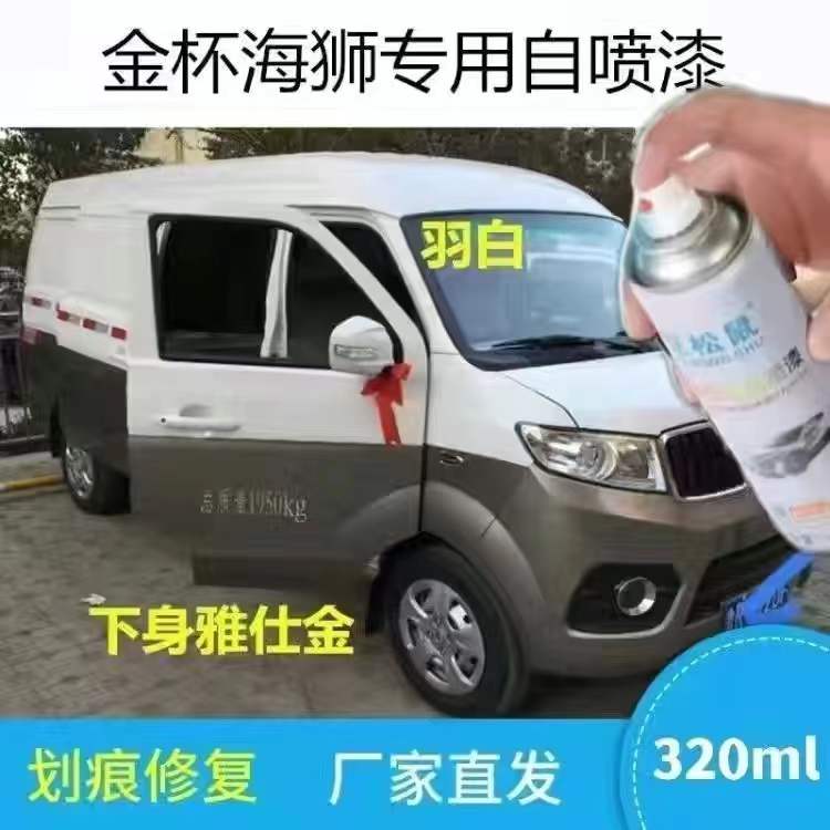 金杯小海狮X30L X30自喷漆划痕修补漆笔白色香槟金银色棕色专用