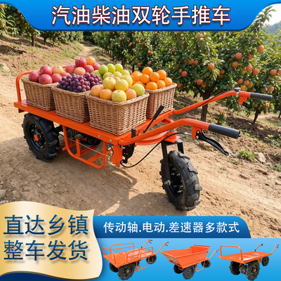 工厂直销手推运输车柴油汽油电动