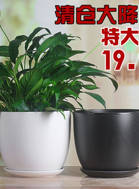 北欧出口白色亚光花盆陶瓷简约风格创意绿萝特大号带托盘清仓包邮