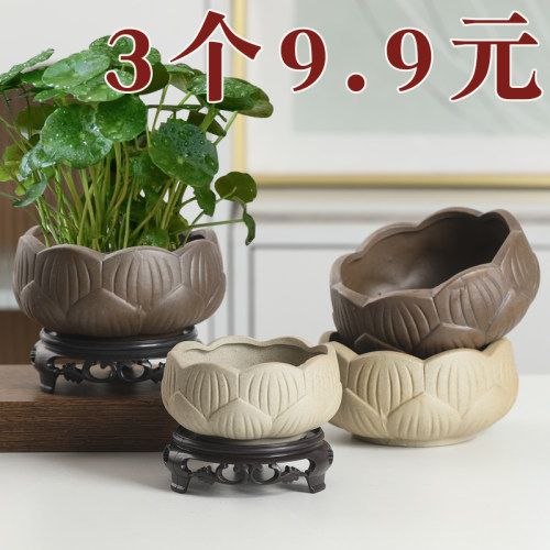 铜钱草水养绿萝水培花盆无孔专用