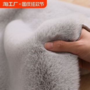 兔毛地毯地垫阳台飘窗垫加厚毛绒客厅卧室床边沙发垫子长毛楼梯