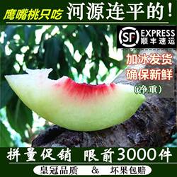 顺丰发货河源连平上坪鹰嘴桃子新鲜水果水蜜桃5斤非云南脆甜桃10