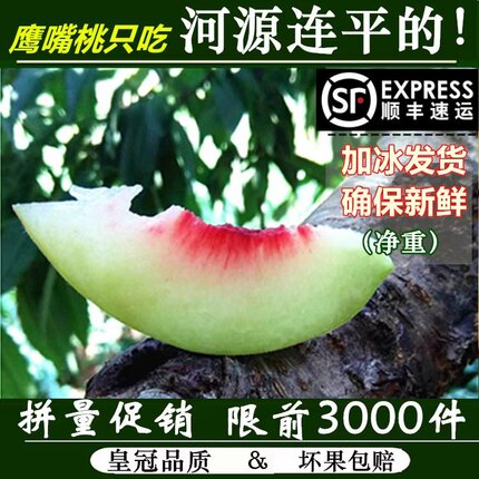 顺丰发货河源连平上坪鹰嘴桃子新鲜水果水蜜桃5斤非云南脆甜桃10
