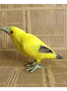 教学模型动物鸟类拍摄道具摆件