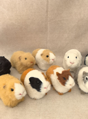 仿真豚鼠荷兰猪仓鼠天竺鼠葵鼠