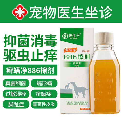 犬6价格 犬6图片 星期三