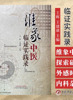 维象中医临证实践录 王晖 王建康主编 中国中医药出版社 9787513288668
