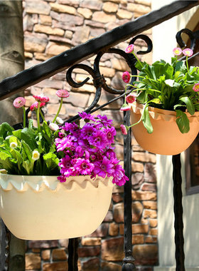 加厚壁挂花盆仿陶土多肉挂壁盆pp树脂塑料创意吊篮盆迷你小吊兰盆