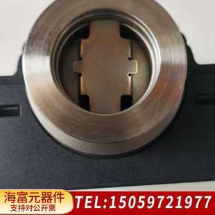 000 英福康PEG100真空计 型号351